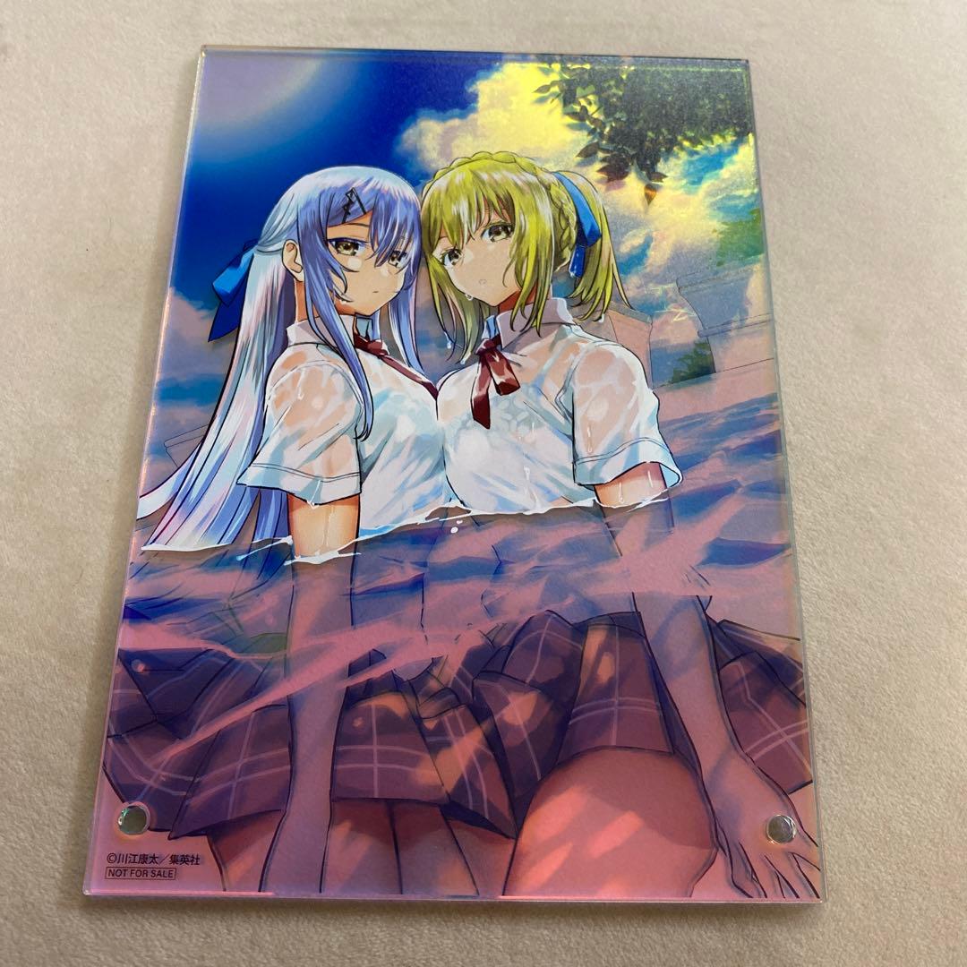 鵺の陰陽師 オーロラアクリルボード