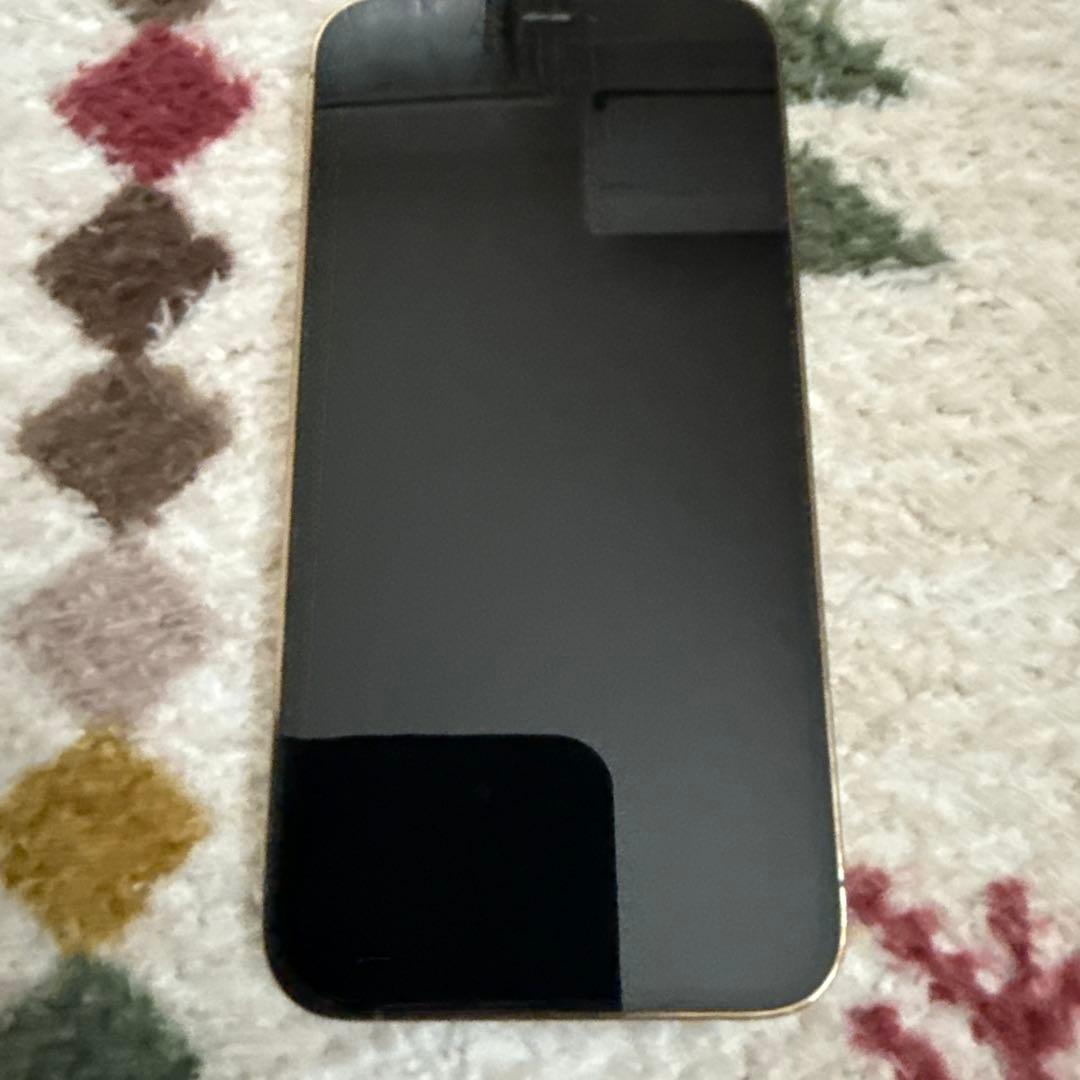 iPhone12pro 256GB ゴールド　ケース付き　SIMフリー