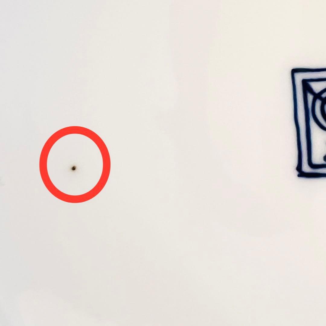 11代酒井田柿右衛門　人間国宝　染錦　花鳥図　大花瓶　二重渦福　角福　本物保証