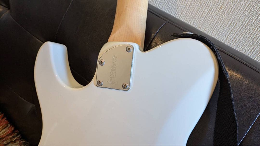 FUJIGEN テレキャス ケース付き