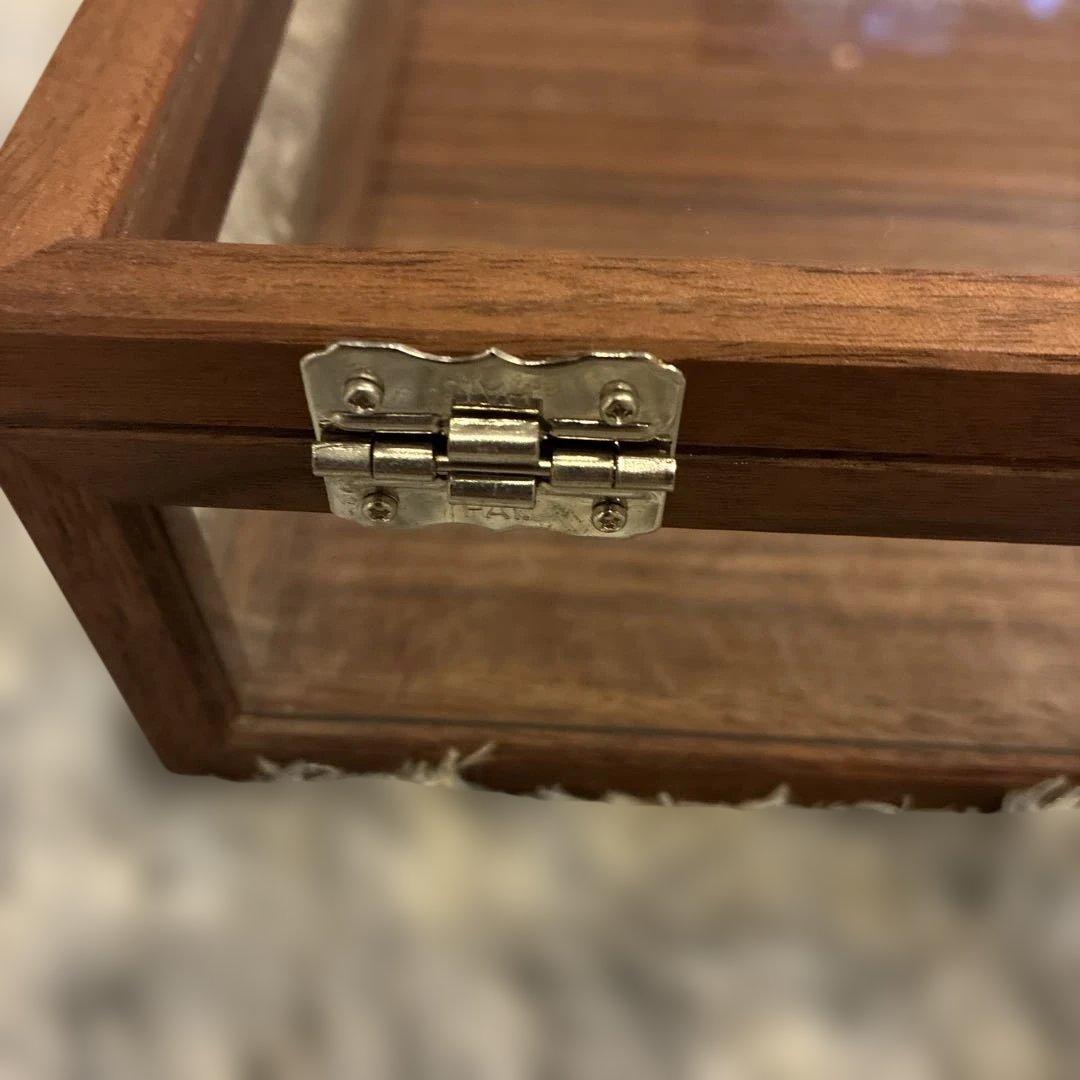 La-Luz ラ・ルース　ウォールナット ケース L ジュエリーボックス