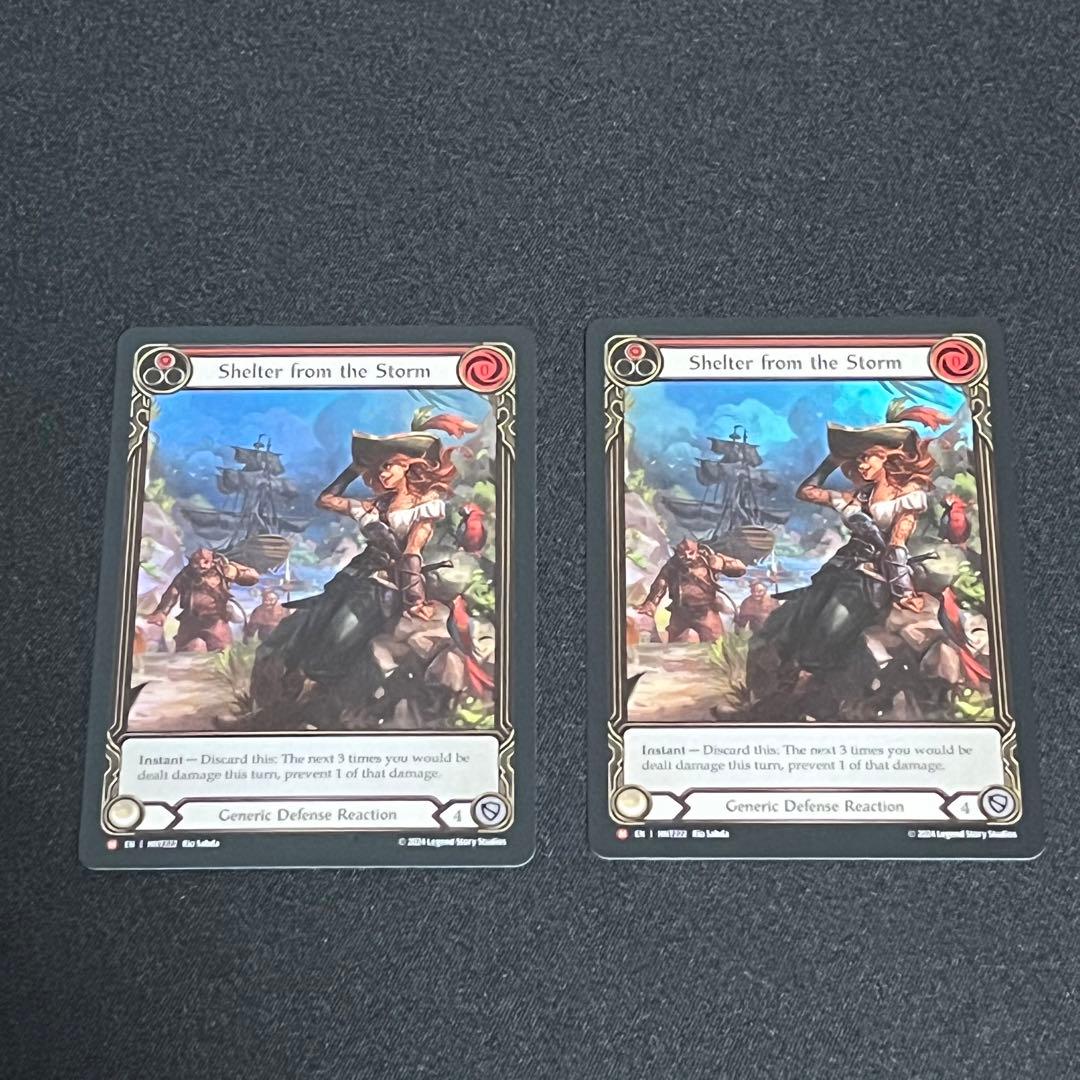 fab Shelter from the Storm 英語版 EA RF 2枚