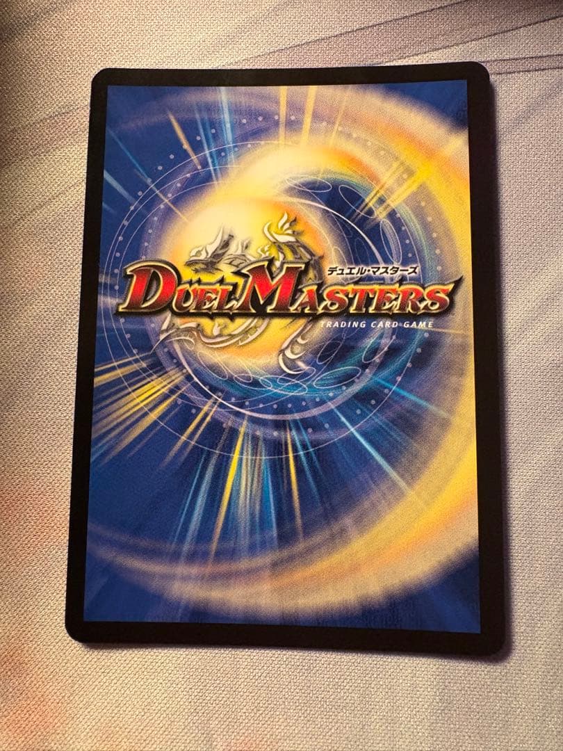 シャコガイル a