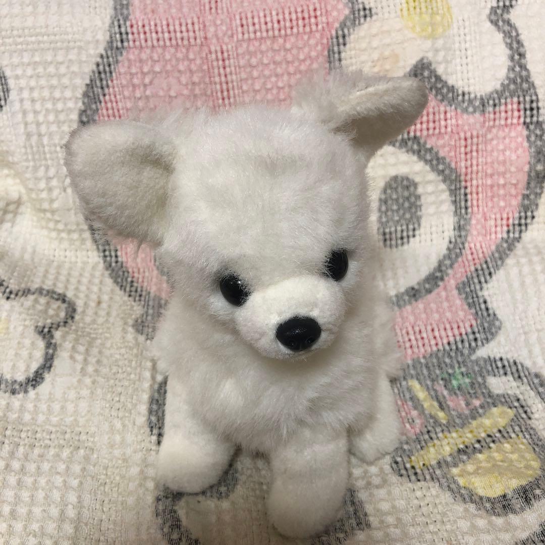 レトロ　チワワ　ぬいぐるみ　中古品　メーカー名不明
