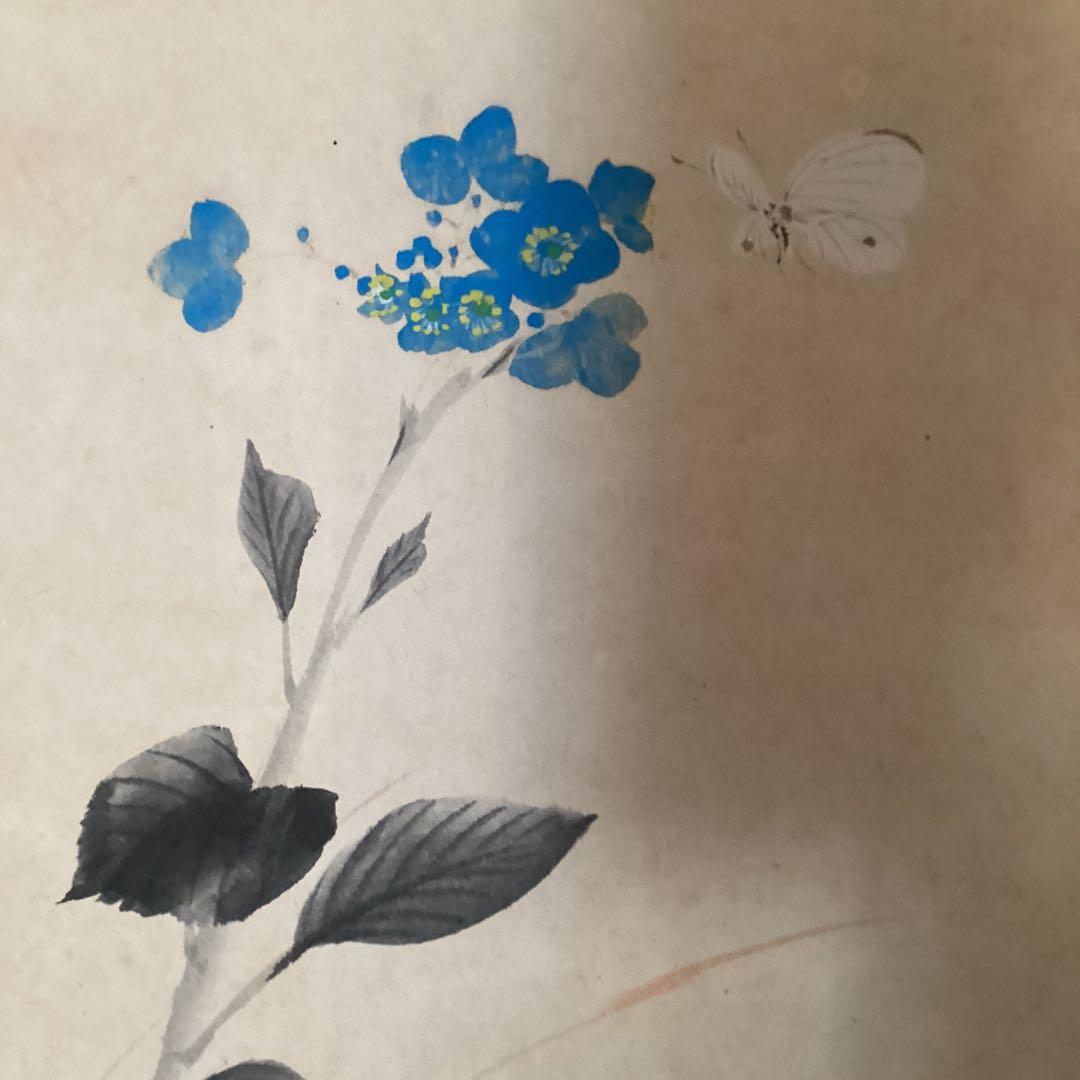 武田鼓葉筆 花鳥画 題目 【 花 蝶 図 】 紙本軸　紫陽花　落款照合