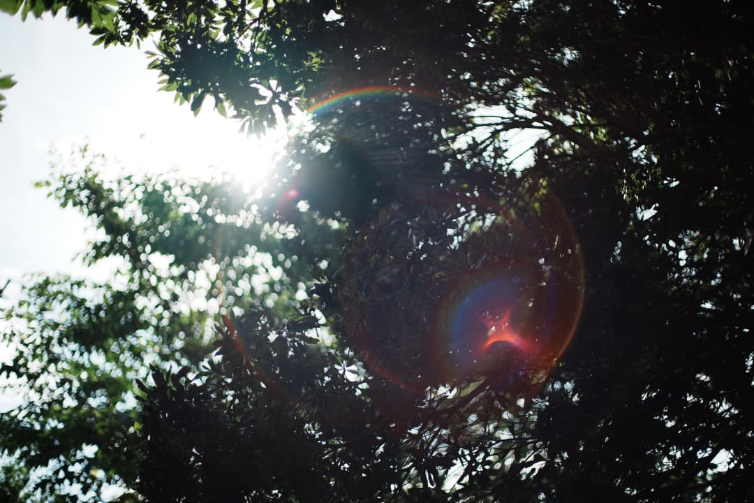 【極美品】Carl Zeiss Planar 50mm F1.4 MMJ 461