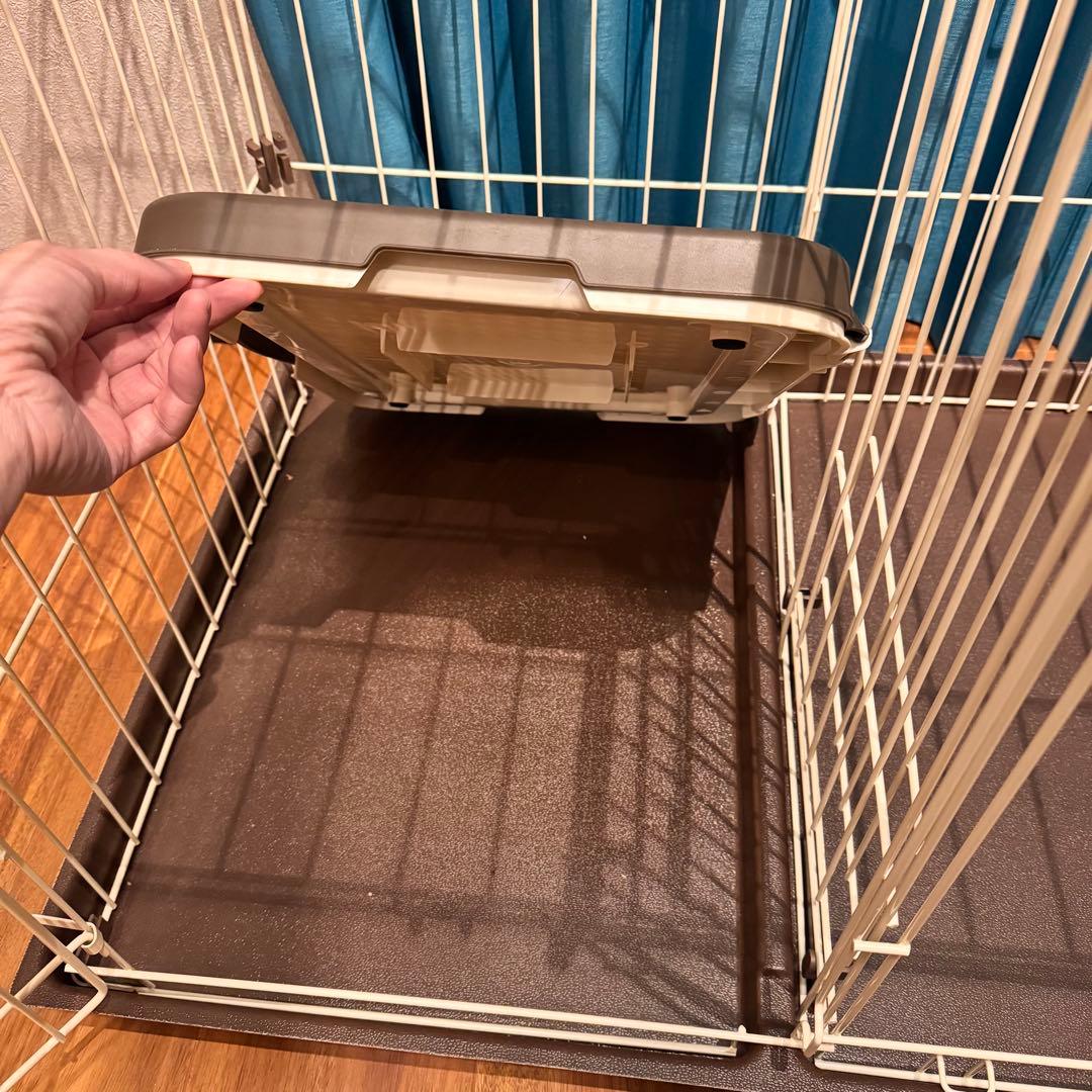 んぽちゃむ 【オマケ付き／引取可】コーナンオリジナル LIFELEX 2ル