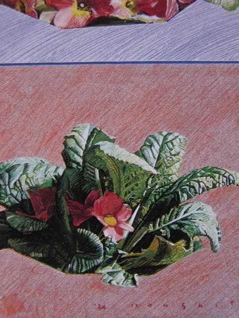 斎藤研、「花」、希少な額装用画集より、新品高級額装付