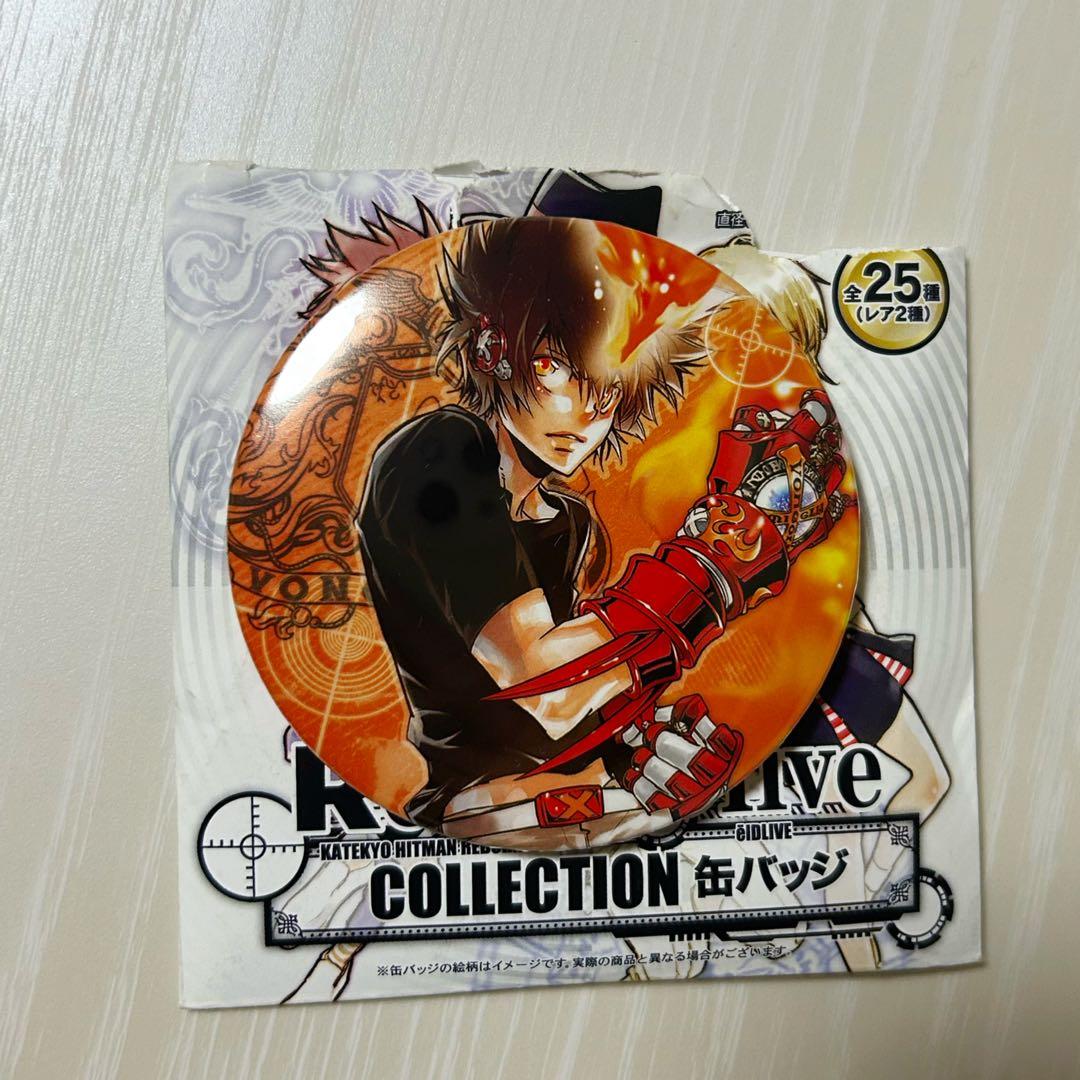 Katekyo Hitman Reborn!沢田綱吉 缶バッジ