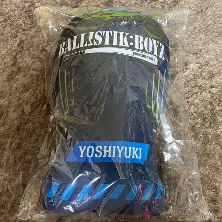 加納嘉将 BOT クッション