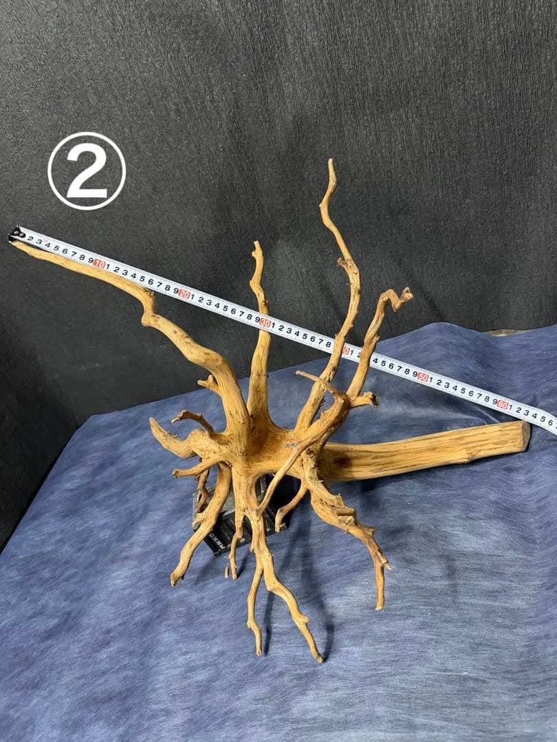 スマトラウッド・ブランチウッド 流木(大)2本組SET アクアリウム＆テラリウム