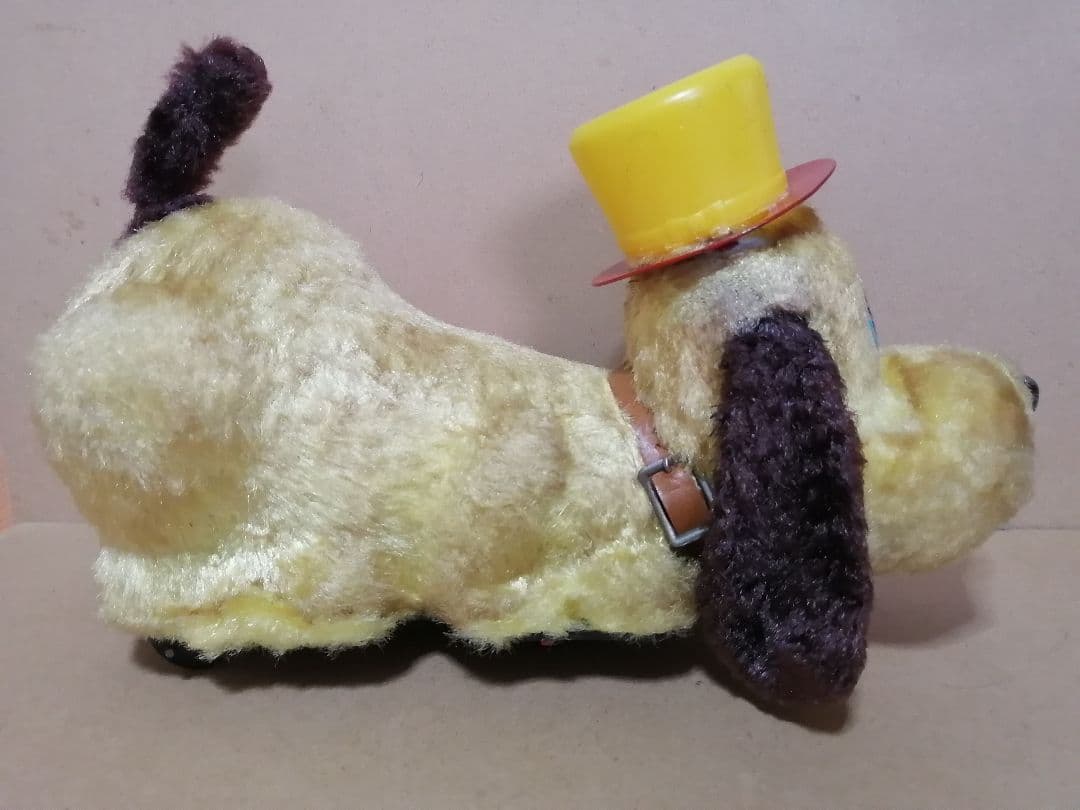 アオシン　元気な仔犬　日本製