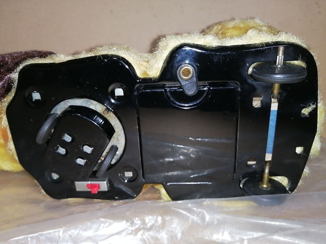 アオシン　元気な仔犬　日本製