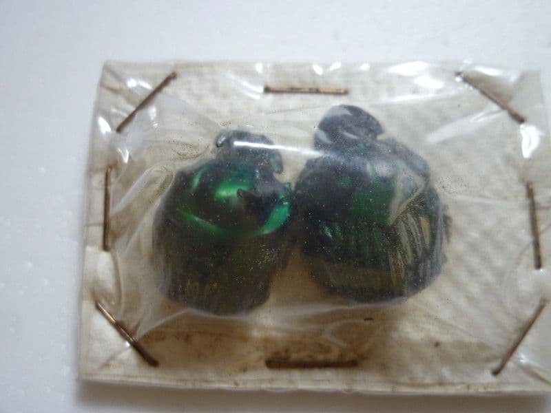 【フンチュウ標本】ミドリツヤダイコクコガネ/エクアドル産/♂25mm♀26mm