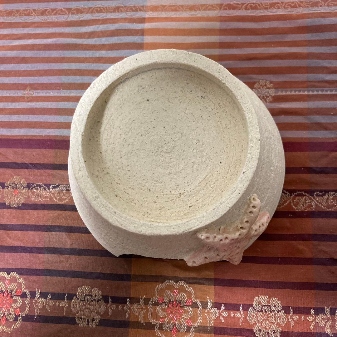 爬虫類シェルター　405 ヒトデピンク