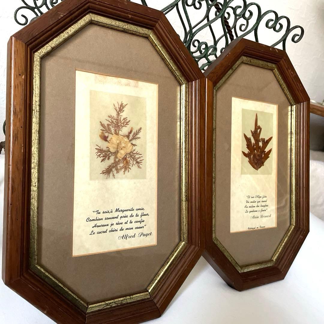 フランス製♡押し花アートフレーム♡幸せメッセージ入り♡ペア♡