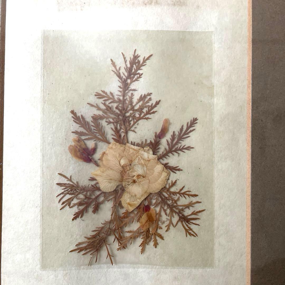 フランス製♡押し花アートフレーム♡幸せメッセージ入り♡ペア♡