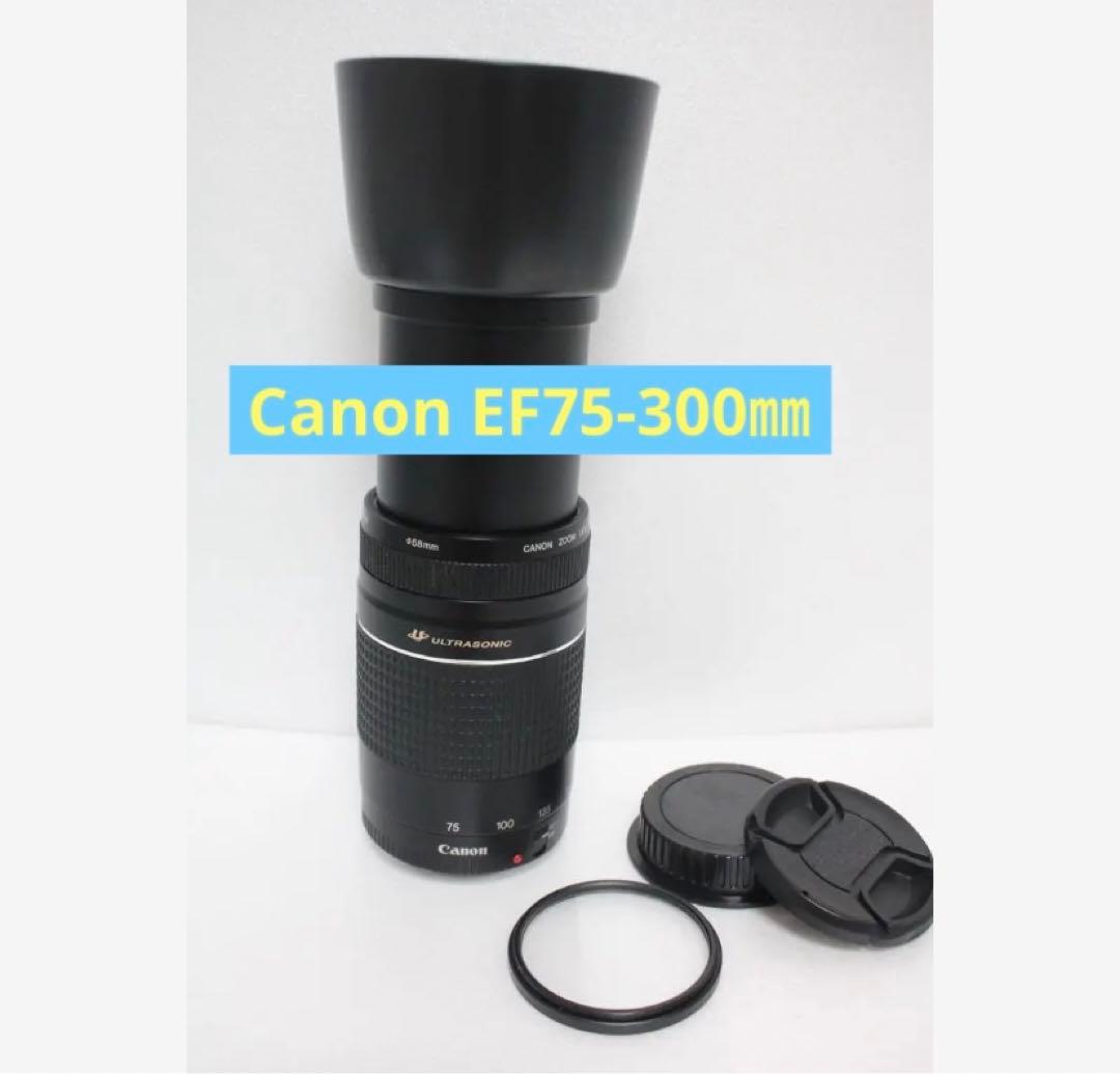 迫力の300㎜/フード付/望遠レンズ　Canon EF75-300㎜