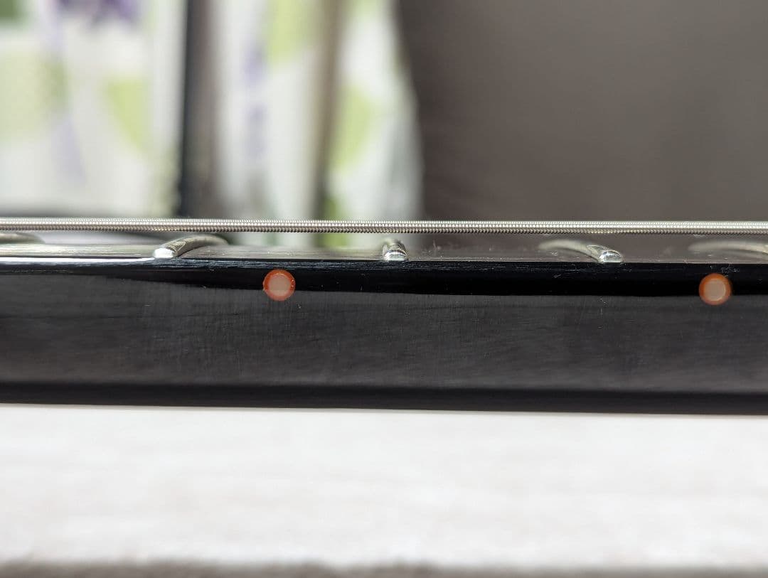 SCHECTER シェクター C-1 AD-C-1-BJ-RB ゴトーPU