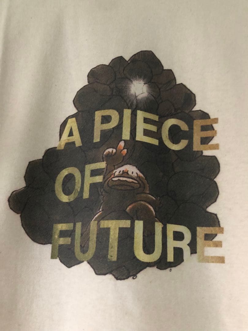 フィッシュマンズ　Tシャツ　fishmans a pice of future