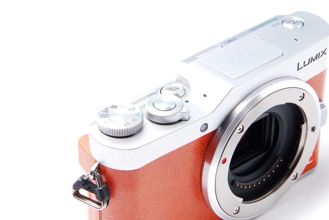 ショット数611回 LUMIX GF9 SNS Wi-Fi チルト ミラーレス