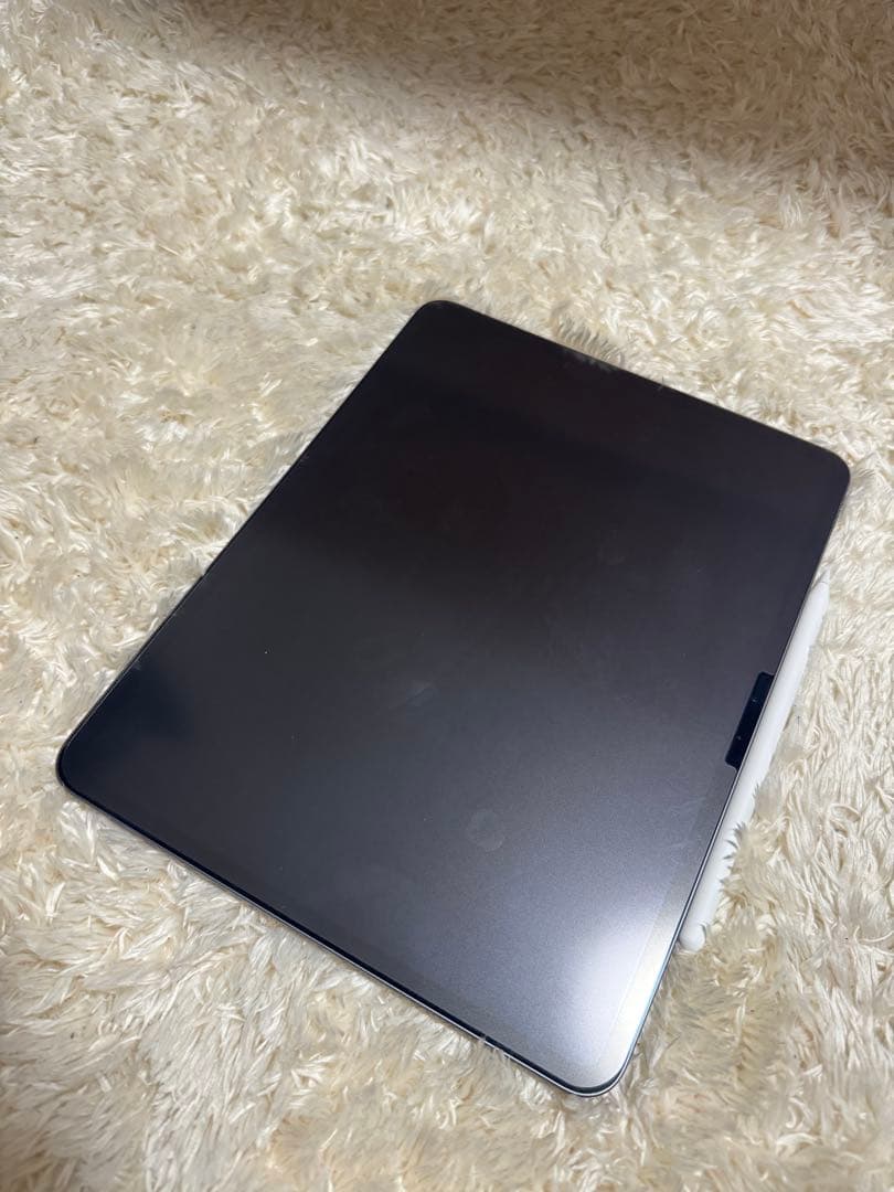 iPad Pro 13インチ M4 256GB Wi-Fiモデル スペースグレー