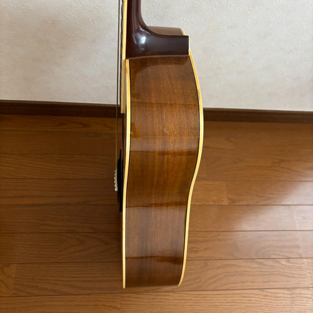 Morris　MD-505　アコースティックギター