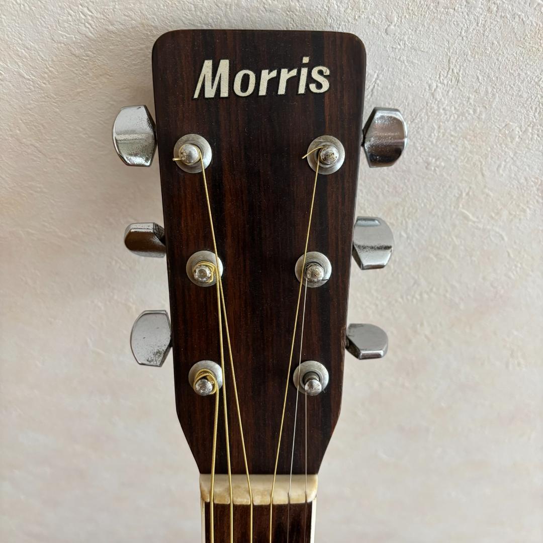 Morris　MD-505　アコースティックギター