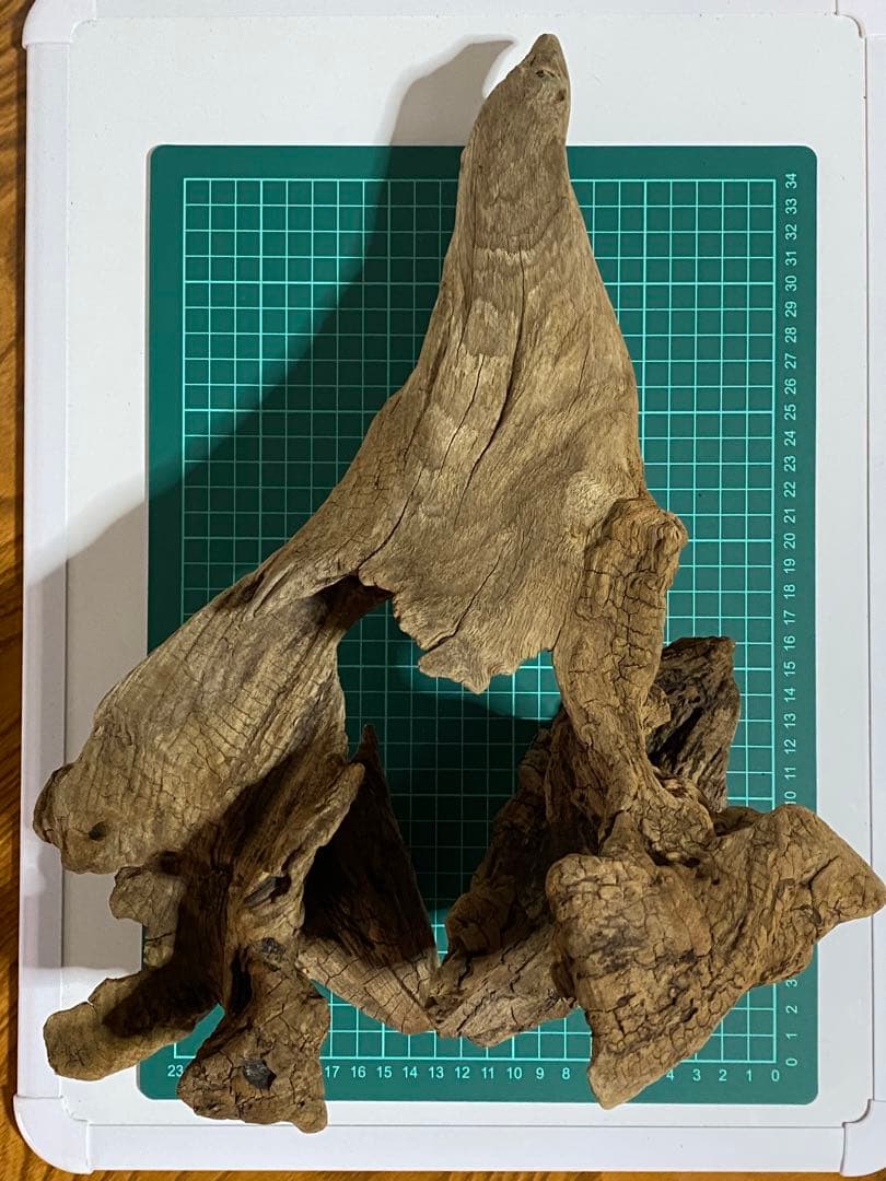 コエポンさま専用おまとめ