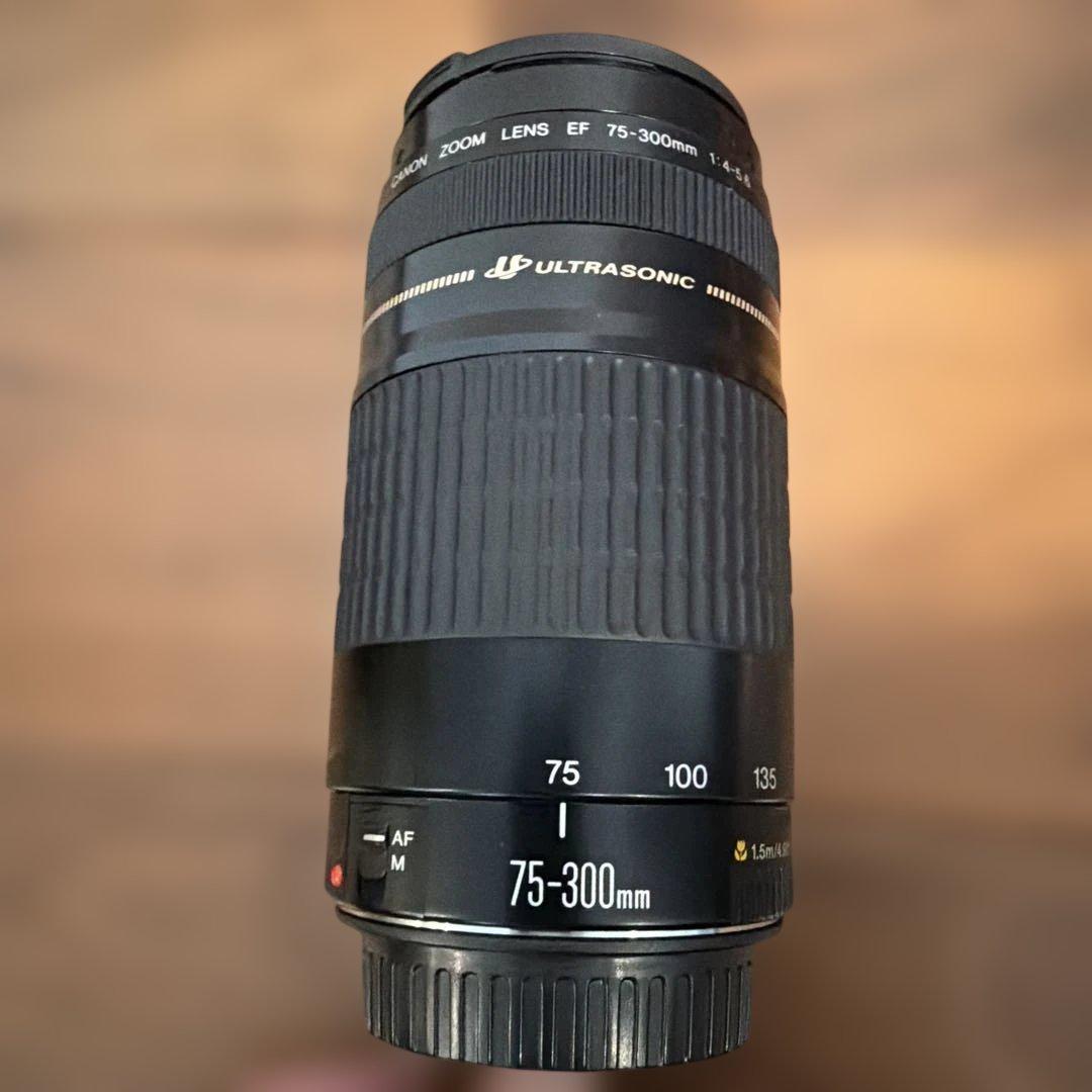 Canon EOS Kiss 一眼レフフィルムカメラ レンズ2本付き