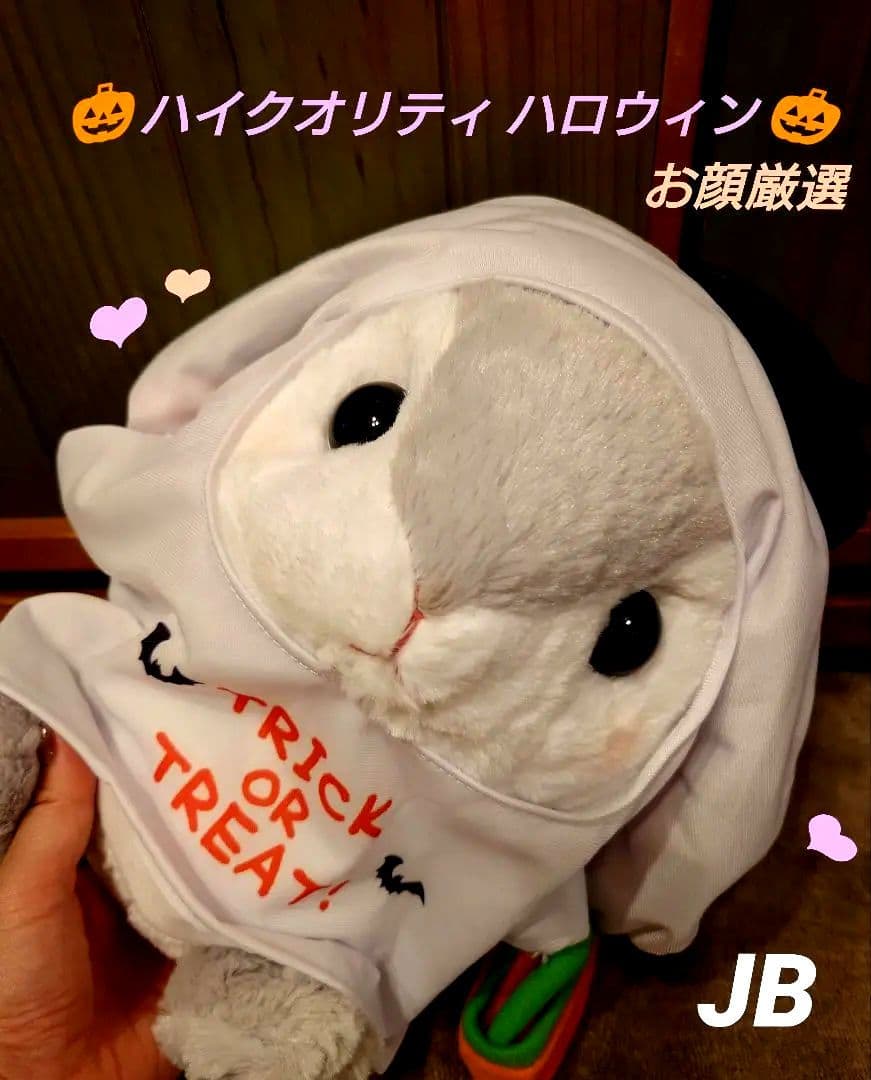 ぽてうさろっぴー ハイクオリティ ハロウィン ぴょんたん