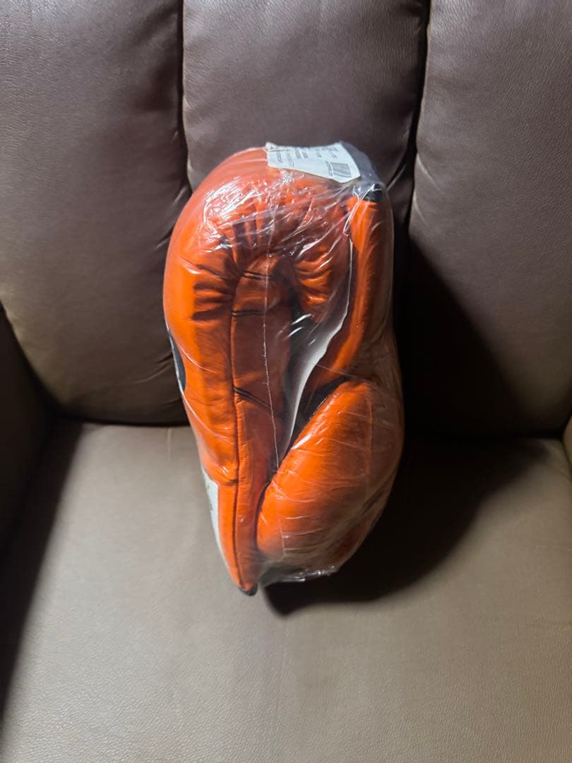 レイジェス　プロファイトグローブ１０oz