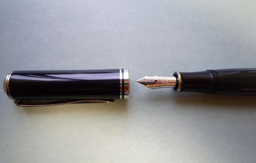 【美品】ペリカン 自然の美観シリーズ M640 ポーラーライト 万年筆（字幅F）