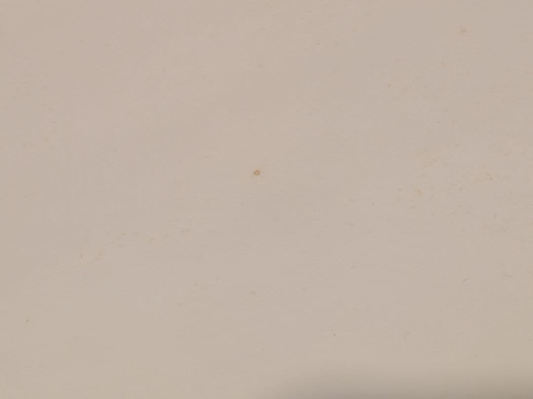 【B1特大ポスター】大黒摩季「いちばん近くにいてね」非売品