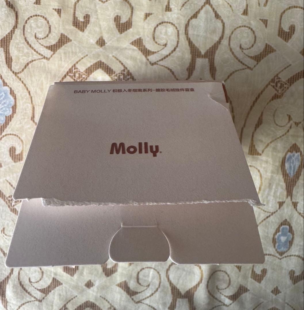 Baby Molly Winter Fit Check ぬいぐるみ　シークレット