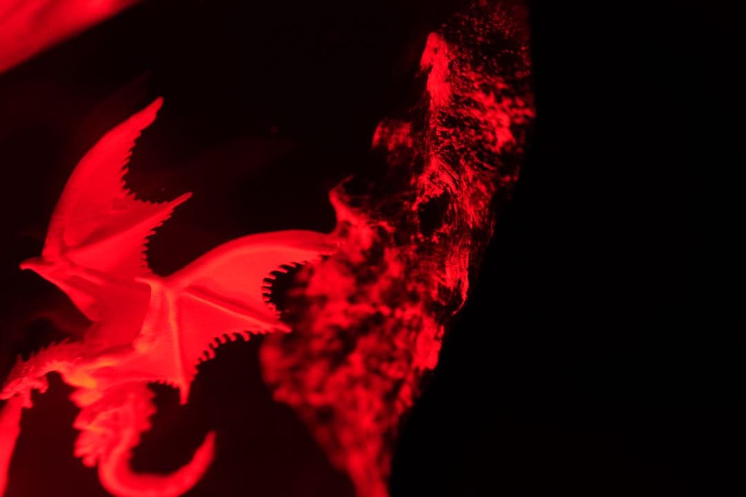 【迫力満点】ドラゴンの息吹 炎の城 レジンランプ 中世ファンタジー 騎士 冒険