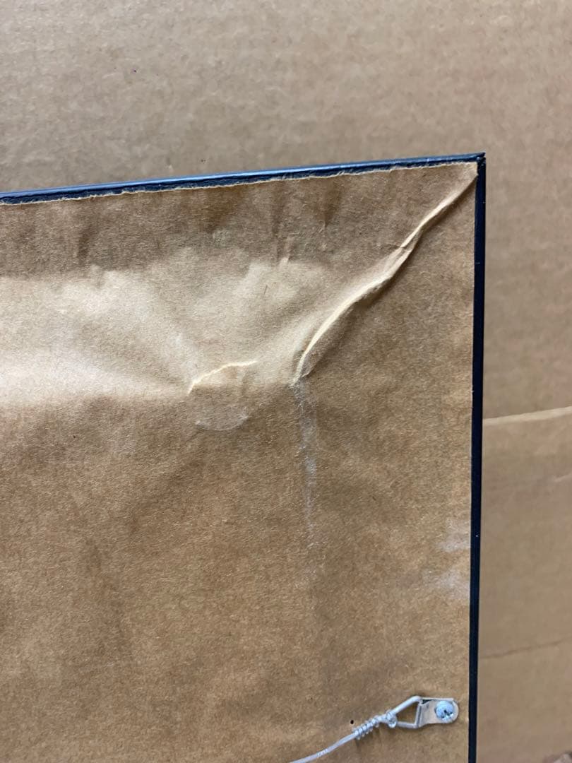 ディズニー　ジャングルクルーズ　絵　アート　レア disney fine art