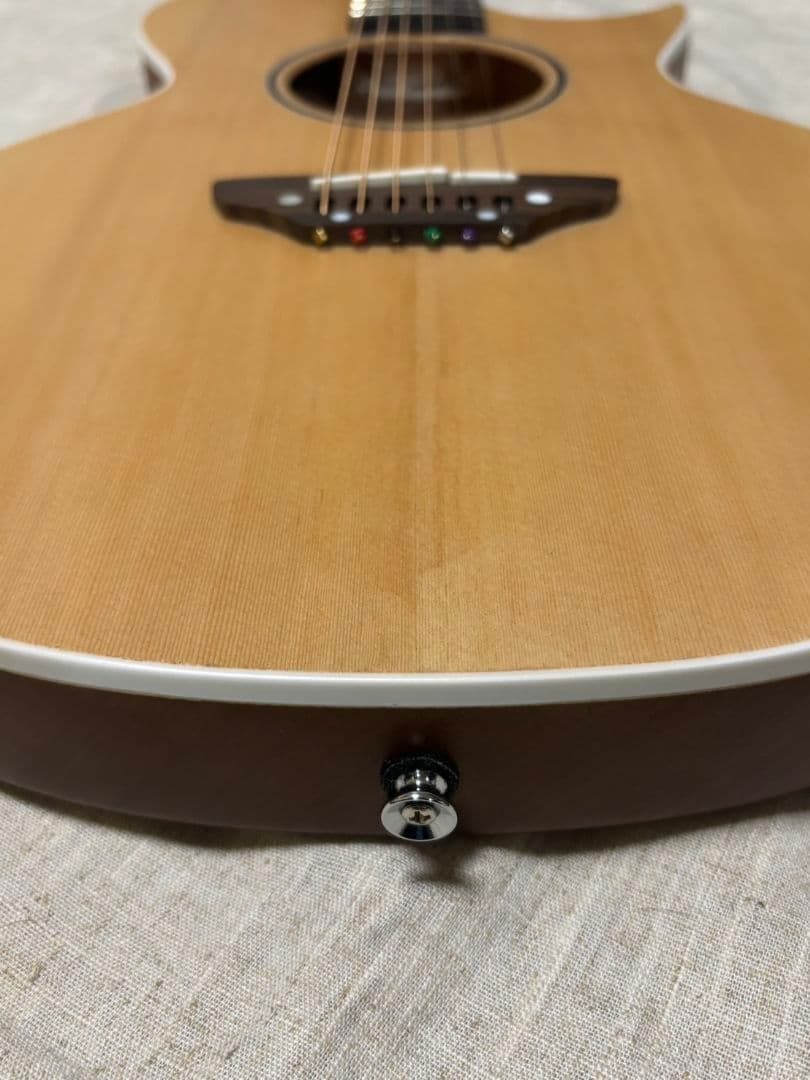 ギター GrassRoots G-AC-45