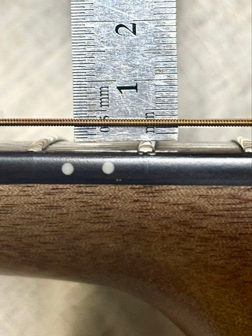 ギター GrassRoots G-AC-45