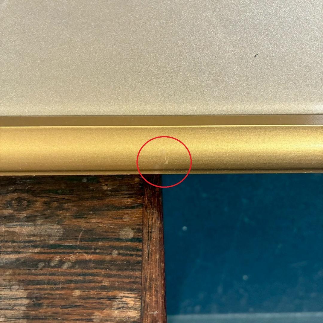 美品 中島千波「華」リトグラフ 直筆サイン・落款有証明シール有 額縁入 日本画家