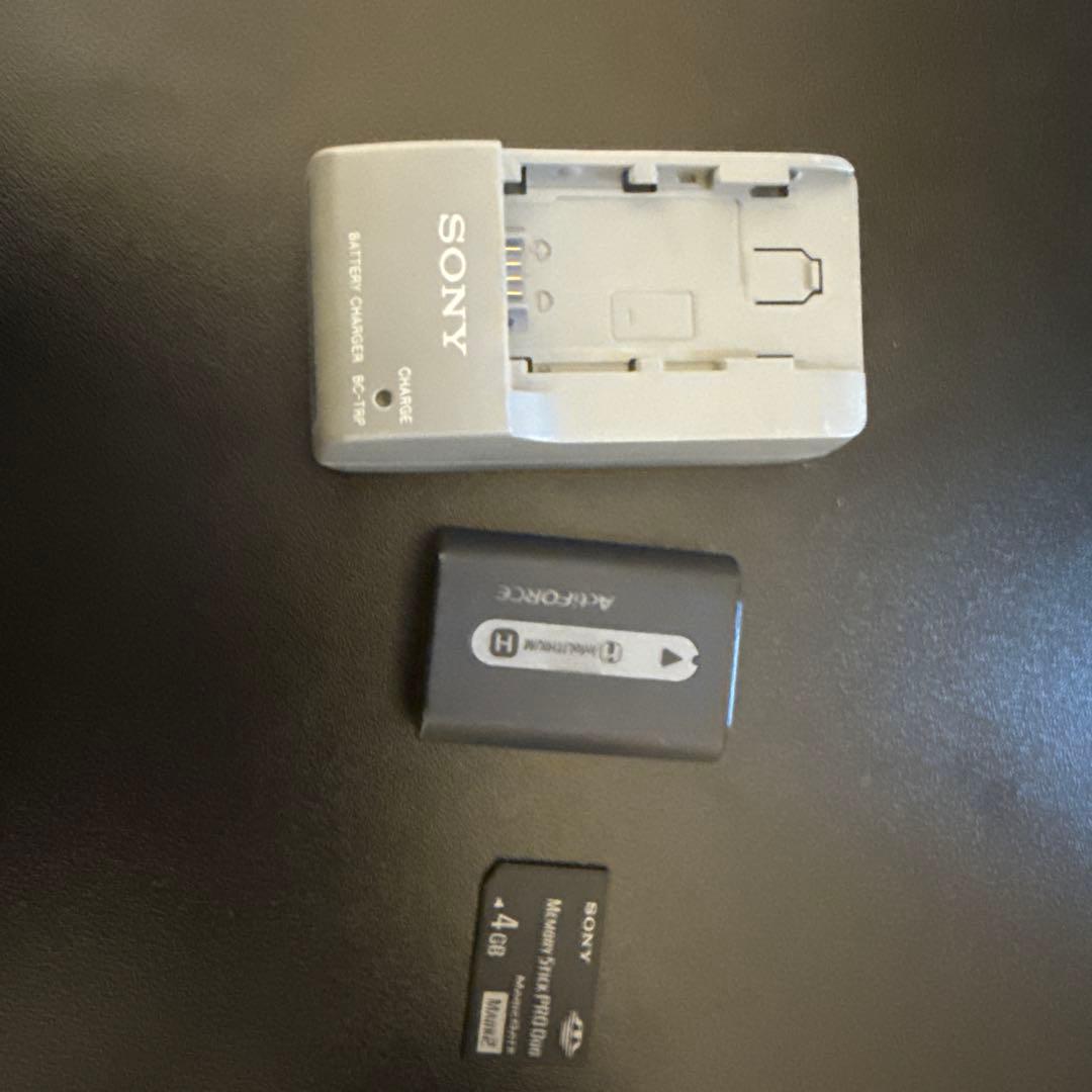 SONY Handycam デジタルビデオカメラ(40GB) DCR-SR300