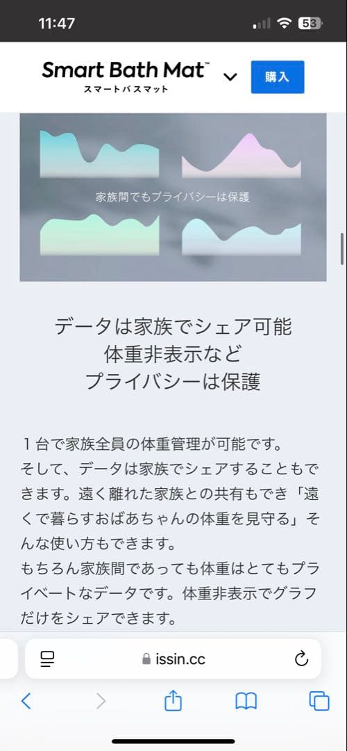 【新品未開封】issin スマートバスマット 体組成計モデル 最新 2024年製