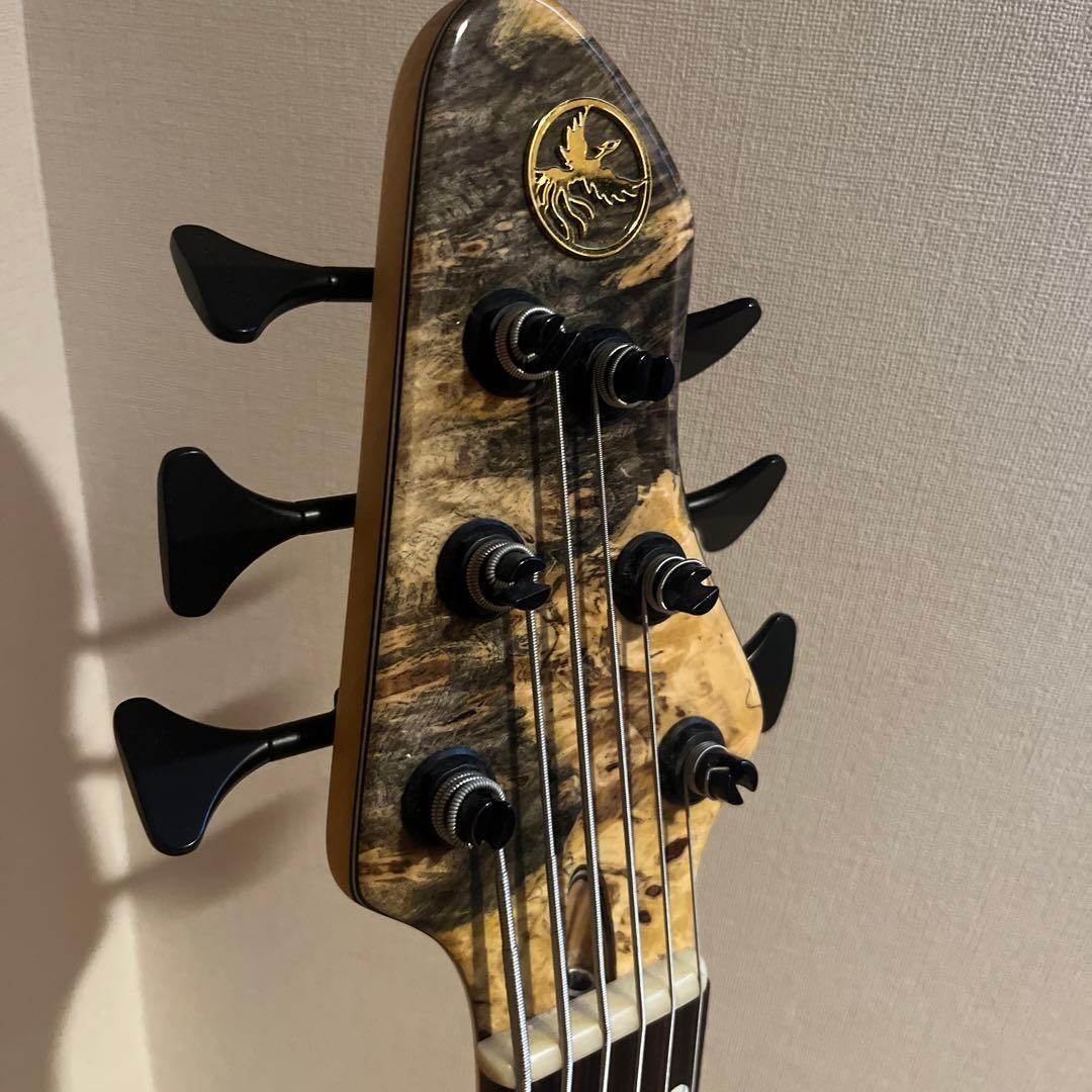 ベース Phoenix/PHS-6 SC Buckeye Burl