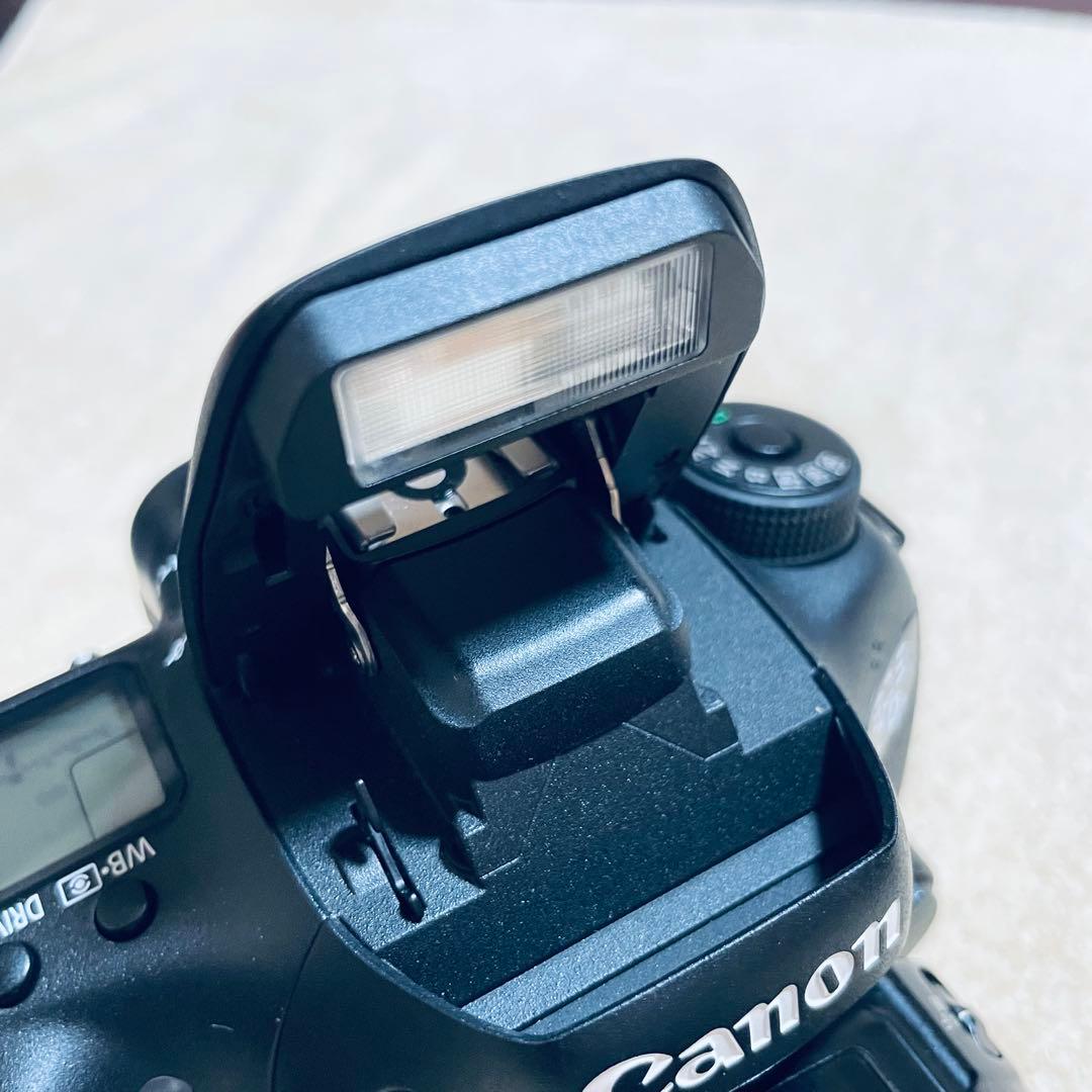 【コスモス・美品】 Canon EOS 7D Mark II レンズセット