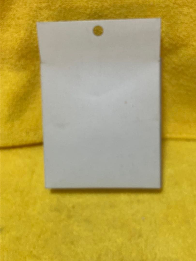 爆転シュートベイブレード　ガイアドラグーンＧ　新品　大会準優勝商品　超激レア