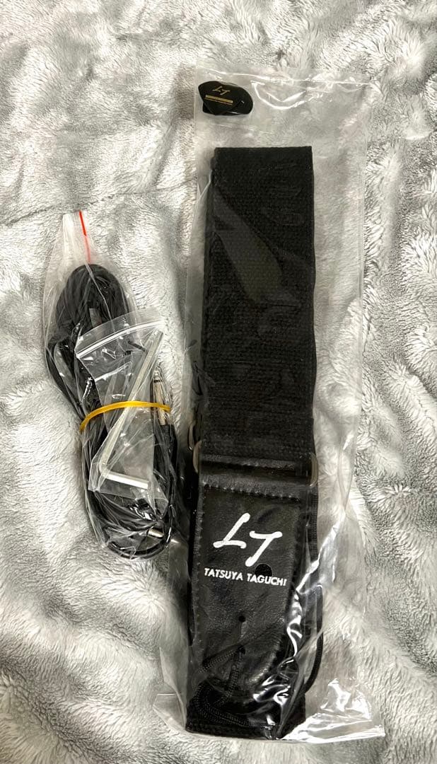 【未使用品】田口達也 オリジナルギター ブラック