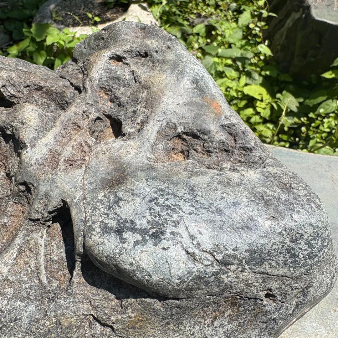 【お値下げ　希少 八海山石8.1kg】アクアリウム ウブ石 ジャグレ石 水無川