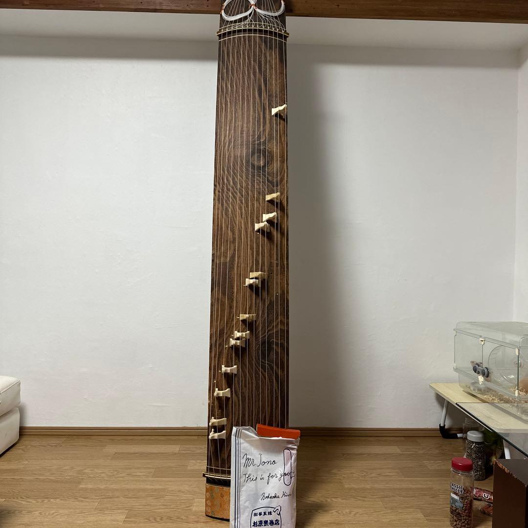 大型木製琴 13弦 金色装飾付き
