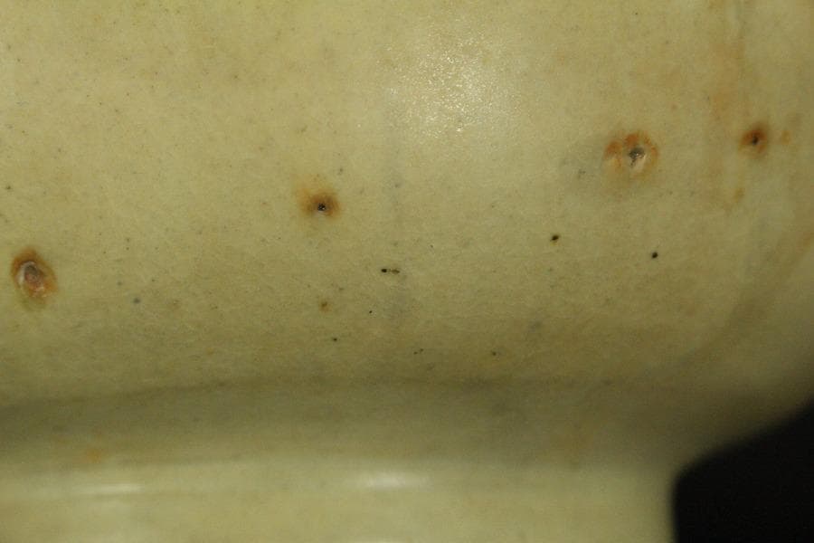 李朝 鉄絵 秋草紋 瓶 高30cm(ZE554)