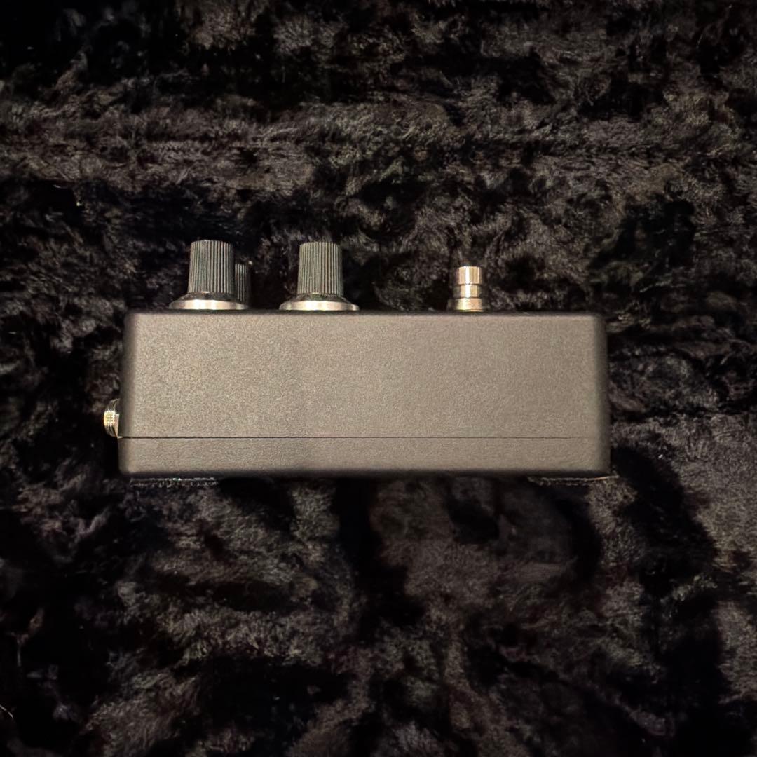 ベース Fender Bassman comp